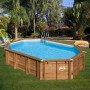 Ovaler Gre Echtholzpool Safran 2 (620x395x136 cm) mit Leiter im Garten.