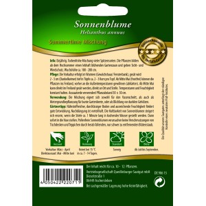 Quedlinburger Sonnenblumen Summertime Mischung: Farbmix für einen blühenden Gartenzaun.