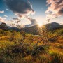 Vlies Fototapete mit norwegischer Herbstlandschaft, Sonne über Bergen und herbstlichen Farben.