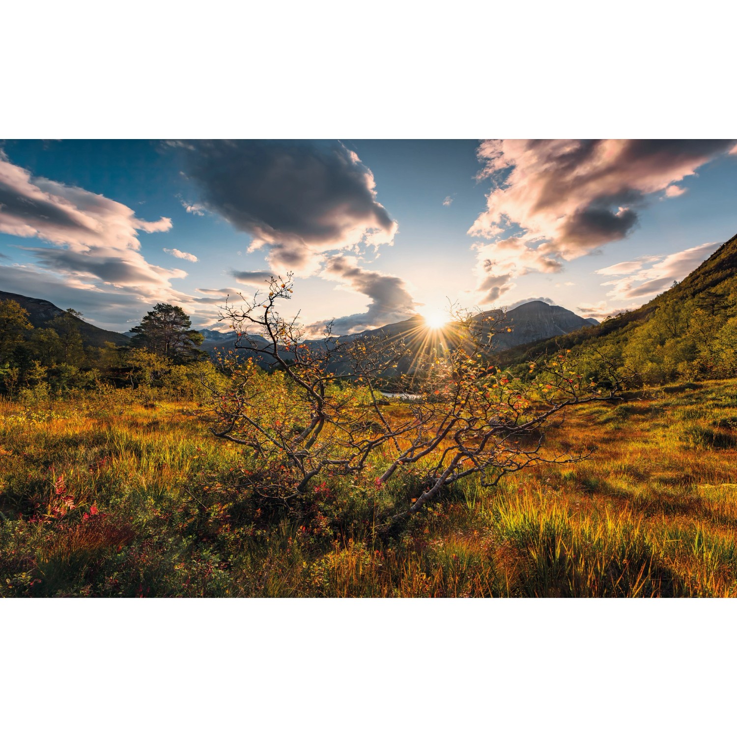 Sanders & Sanders Fototapete Landschaft Grün und Blau 450 x 280 cm 612646 günstig online kaufen