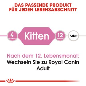 Royal Canin Kitten Futter: Grafik zum Futterwechsel von Kitten zu Adult nach 12 Monaten.