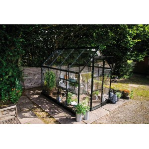 Schwarzes Halls Gewächshaus Icon 6, 4,9 m², mit Pflanzen im Garten.