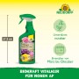 Neudorff BioKraft Vitalkur für Rosen AF, 500ml Flasche mit Sprühkopf.