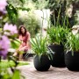 Elho Blumentopf Fuente Rings, Ø 30 cm, Onyx Schwarz, im Garten auf Holzterrasse.