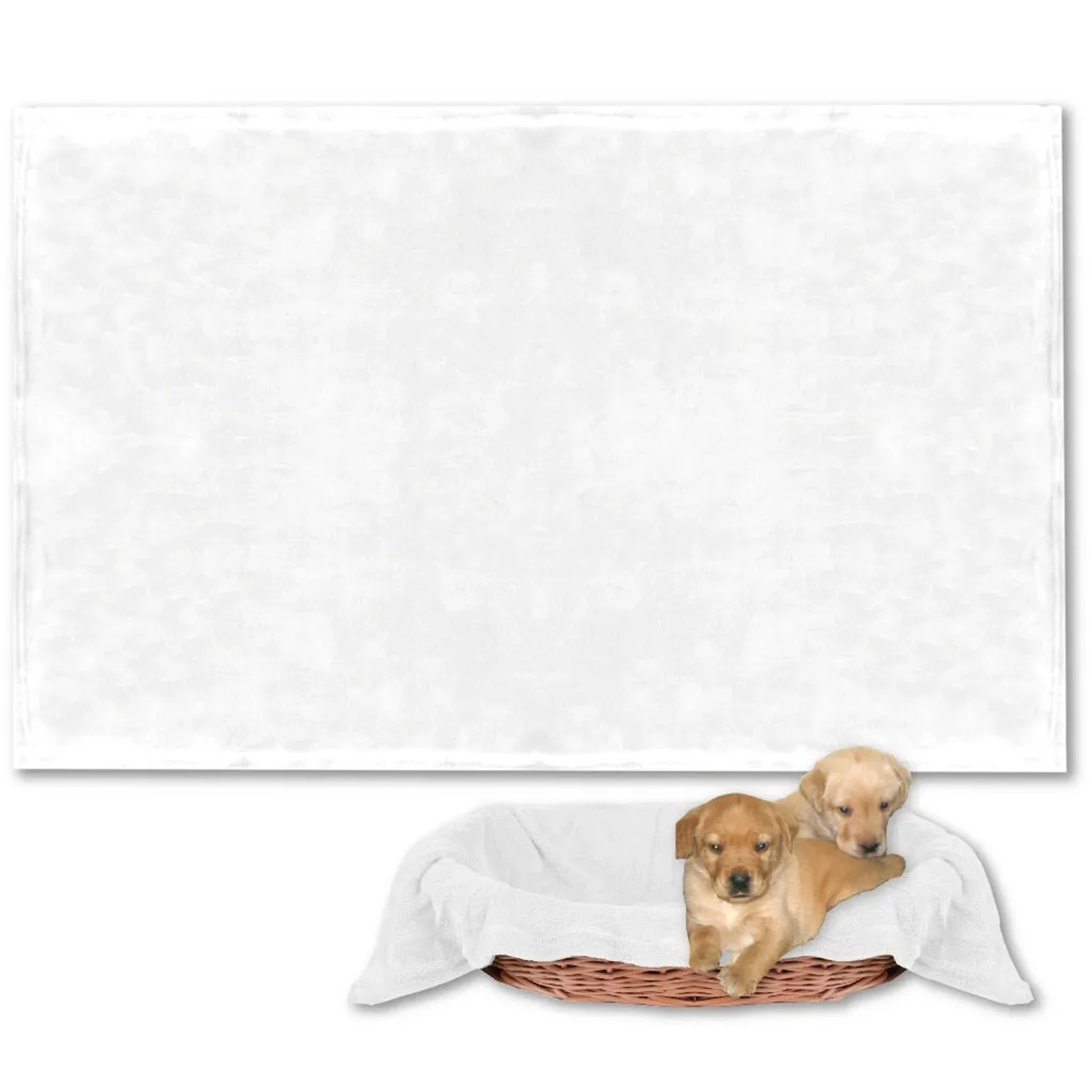Bestlivings Tierdecke, weiße Hundedecke aus Mikrofaser (60x80 cm) mit zwei Welpen im Korb.