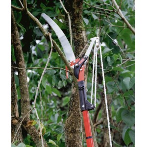 LUX Baumschere teleskopierbar mit Säge im Einsatz, Äste schneiden und sägen.
