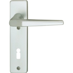 Alpertec Kurzschild-Garnitur Florence, Alu F1, für Zimmertüren, Buntbart