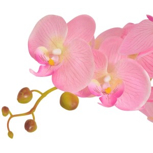 rosa Orchideen kaufen bei OBI