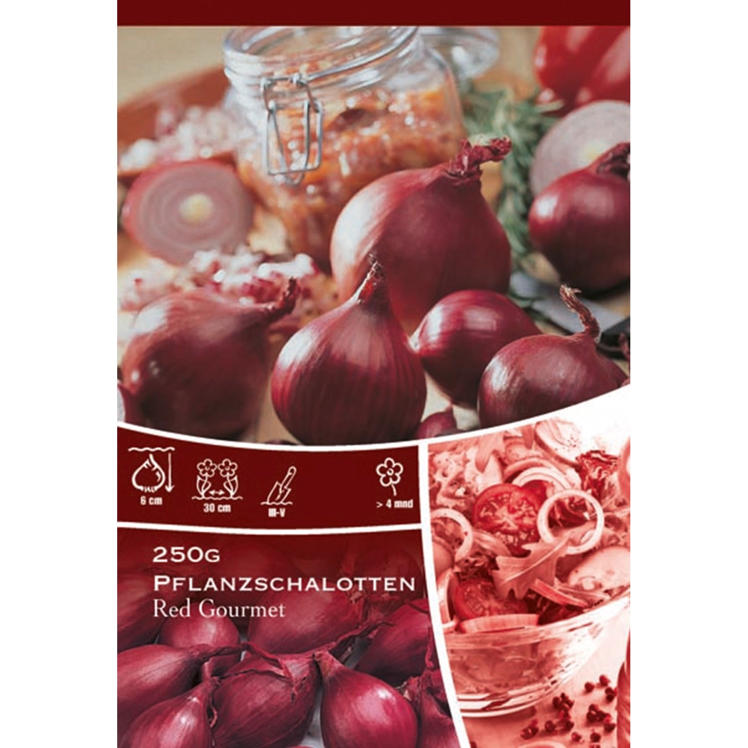 Rote Steckzwiebeln, Braunschweiger kaufen bei OBI