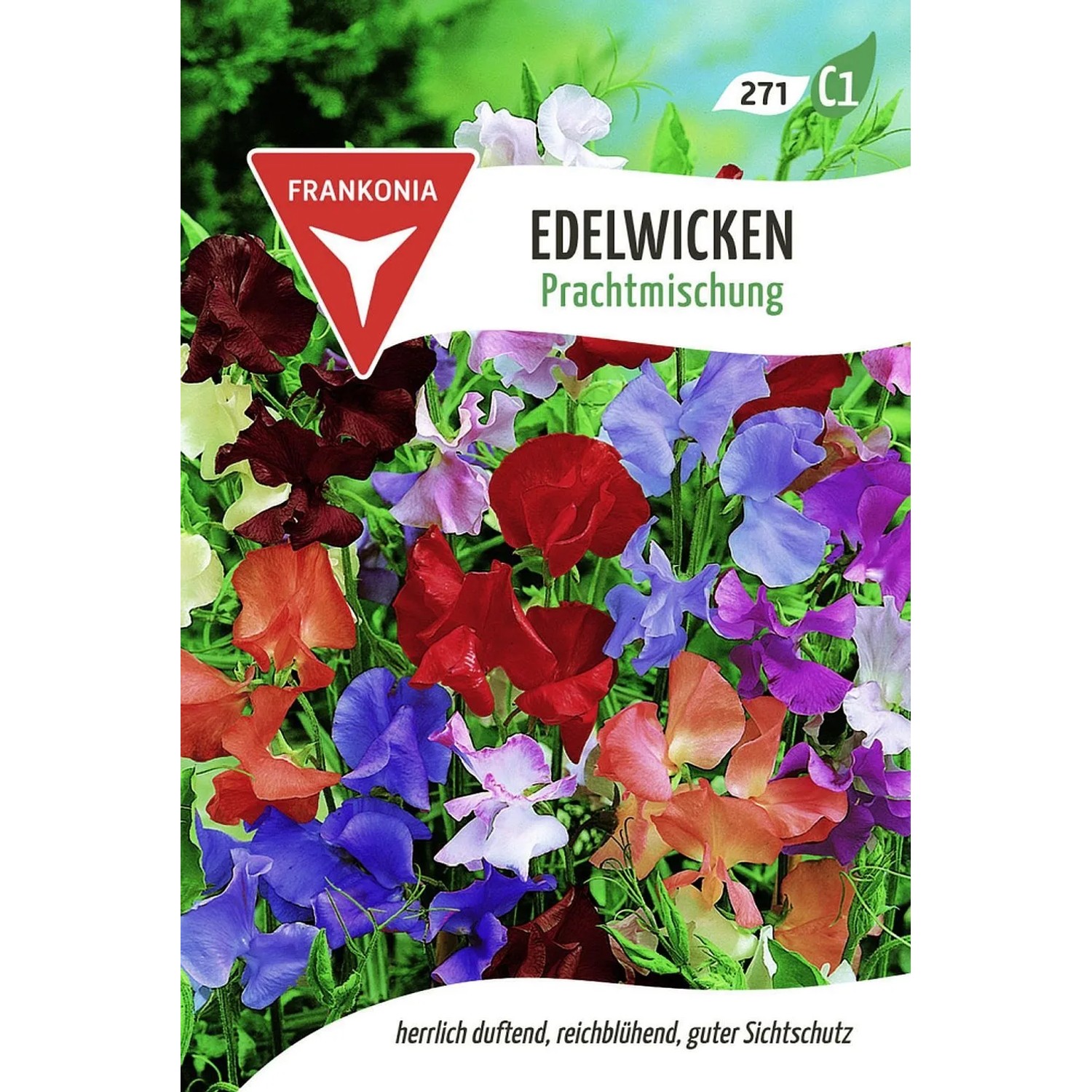 FRANKONIA Edelwicke Prachtmischung günstig online kaufen