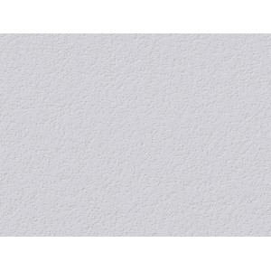 Nahaufnahme der weißen Erfurt Vlies-Rauhfaser Rustic Tapete mit rustikaler Struktur.