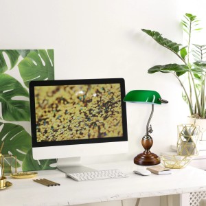 Relaxdays Bankerlampe Holz Glas Metall Grün Rutschfest 43 cm x 26,5 cm x 18 cm