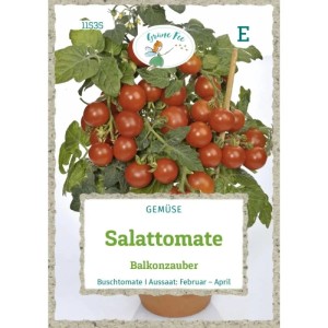 Grüne Fee Salattomate Balkonzauber Saatgut. Kompakte Buschtomatenpflanze mit vielen roten Früchten auf Samenpäckchen.