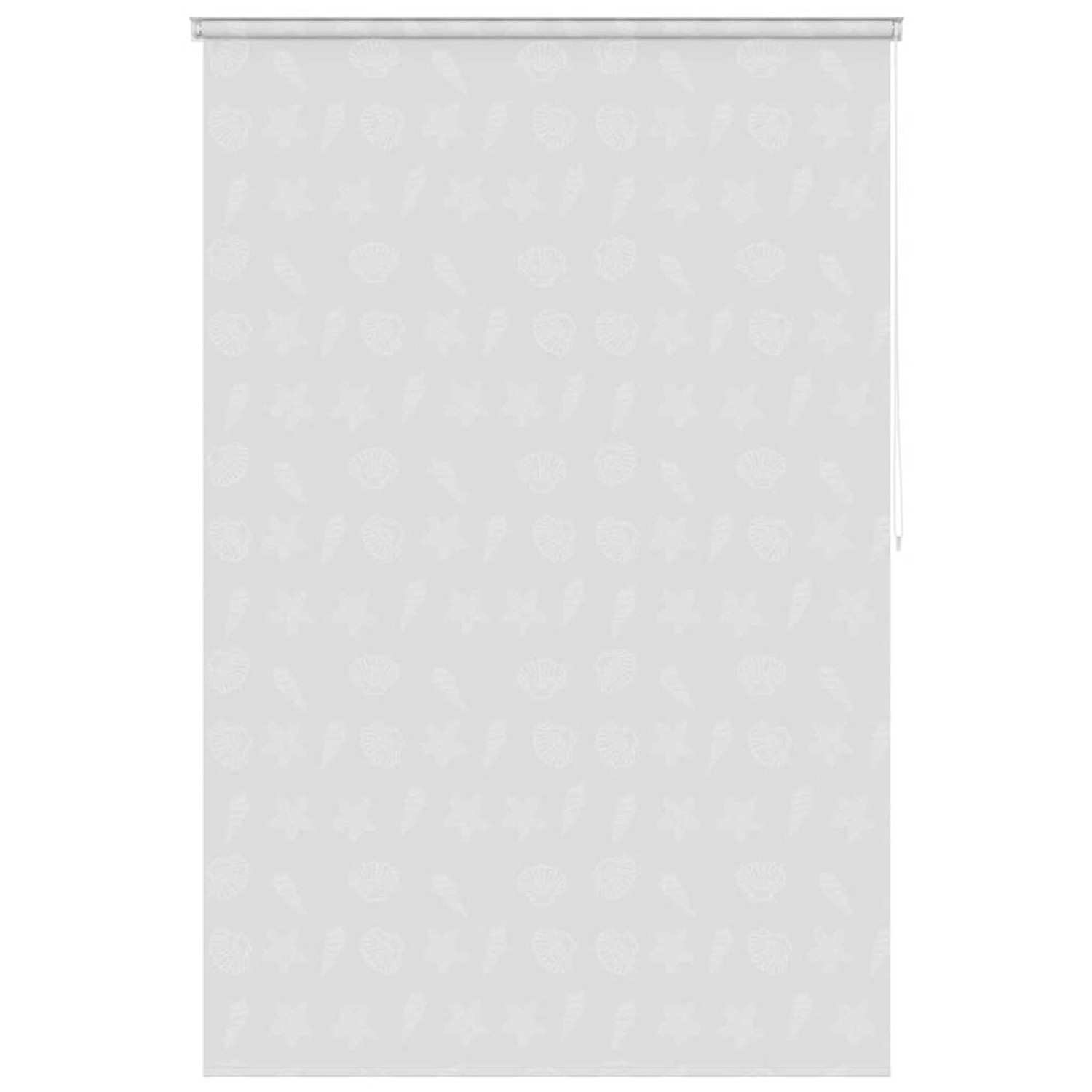 vidaXL Duschrollo 160x240 cm Seesternmuster 142863 günstig online kaufen