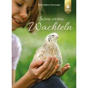 Unsere ersten Wachteln