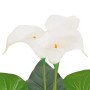Künstliche Calla-Lilie, 85 cm, weiße Blüten und grüne Blätter im Topf.