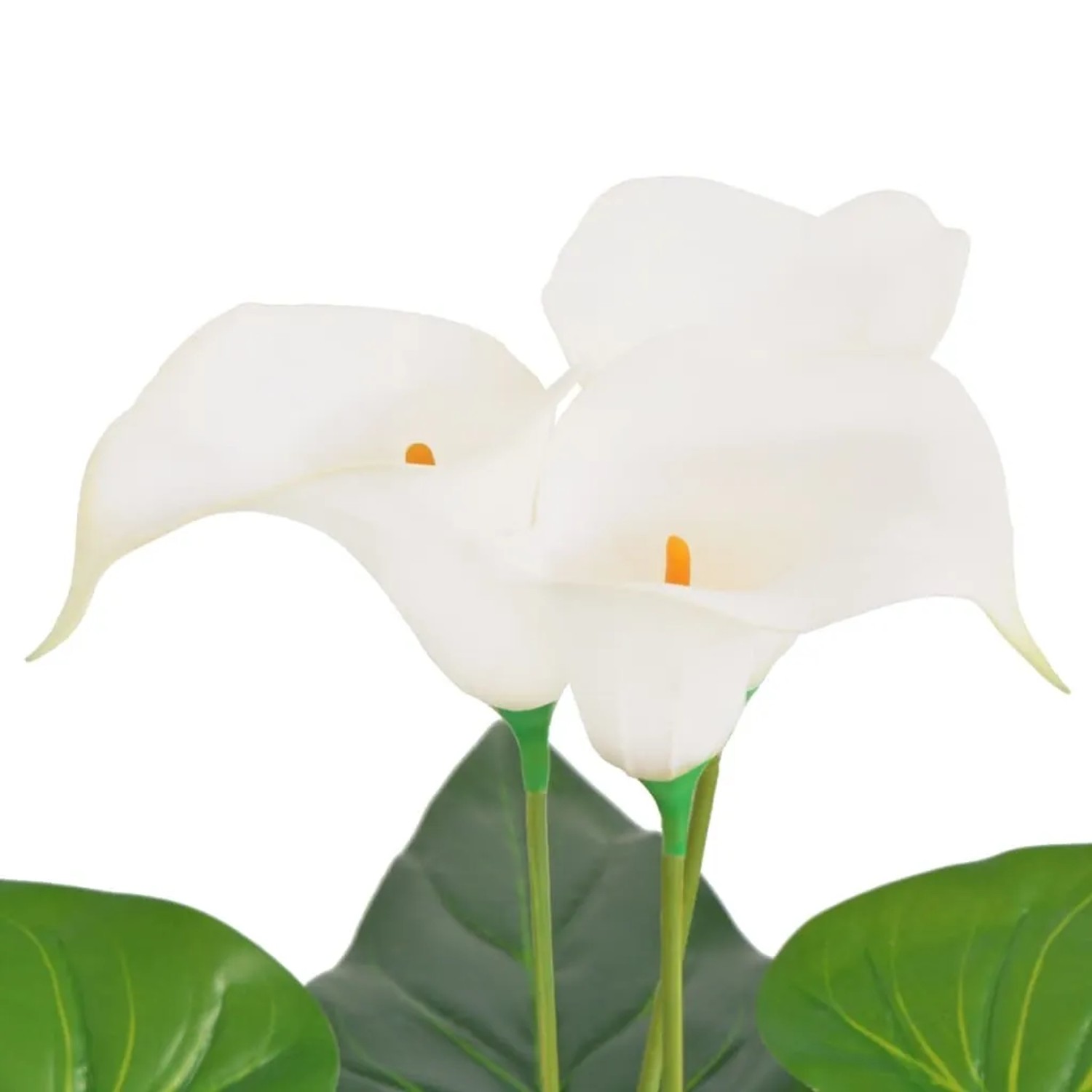 Künstliche Calla-Lilie, 85 cm, weiße Blüten und grüne Blätter im Topf.