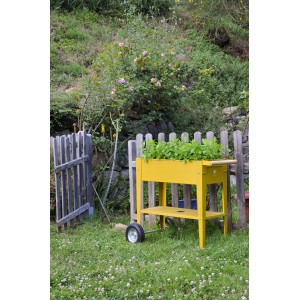 Gelbes Herstera Garden Metall-Hochbeet (80x75x35cm) mit Kräutern im Garten.