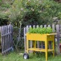 Gelbes Herstera Garden Metall-Hochbeet (80x75x35cm) mit Kräutern im Garten.