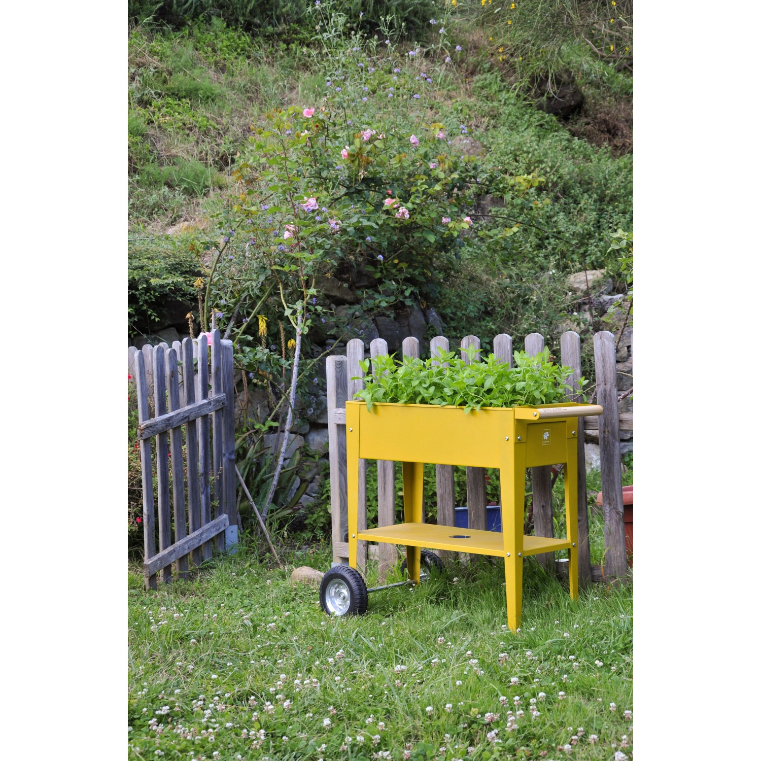 Gelbes Herstera Garden Metall-Hochbeet (80x75x35cm) mit Kräutern im Garten.