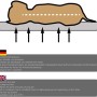 Orthopädisches Hundebett Petsation BENJI, 72 cm, mit Kissen. Schemazeichnung zur Druckentlastung.