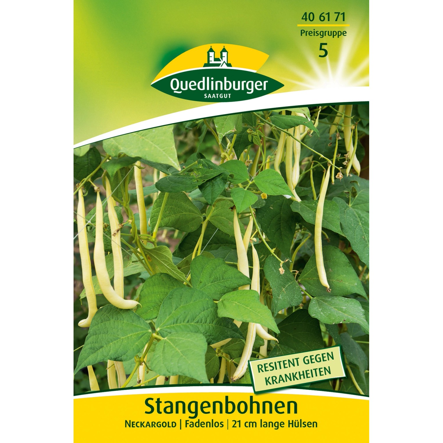 Quedlinburger Stangenbohnen ''Neckargold'' günstig online kaufen