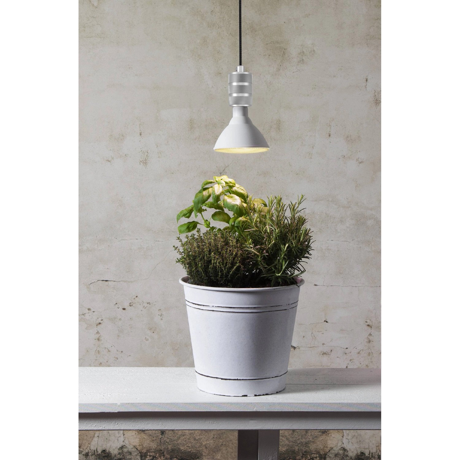 Eglo LED-Pflanzenlampe E27, 16W, mit gelbem Licht über Topf mit Kräutern.