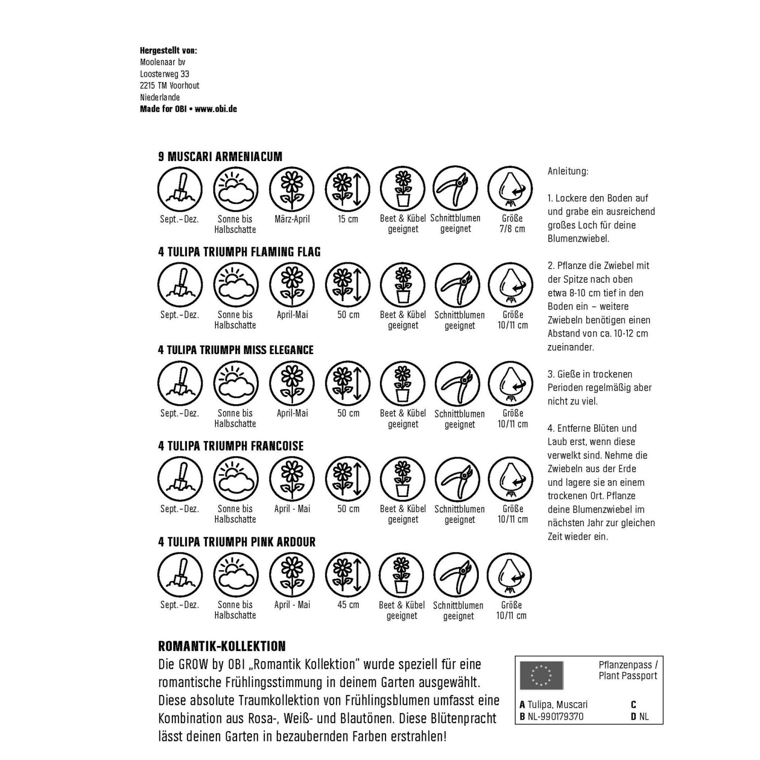 GROW by OBI Romantik-Kollektion, 25 Blumenzwiebeln für Beet und Kübel, mehrfarbig.