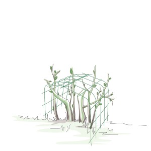 Illustration: Bellissa Hortensien Stütze Annabelle, 2er Set, grüne Rankhilfe für Garten.