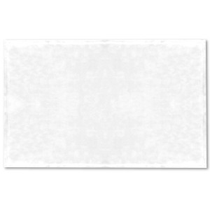 Weiße Bestlivings Tierdecke aus Mikrofaser, 70x100 cm, ideal als Hundedecke.