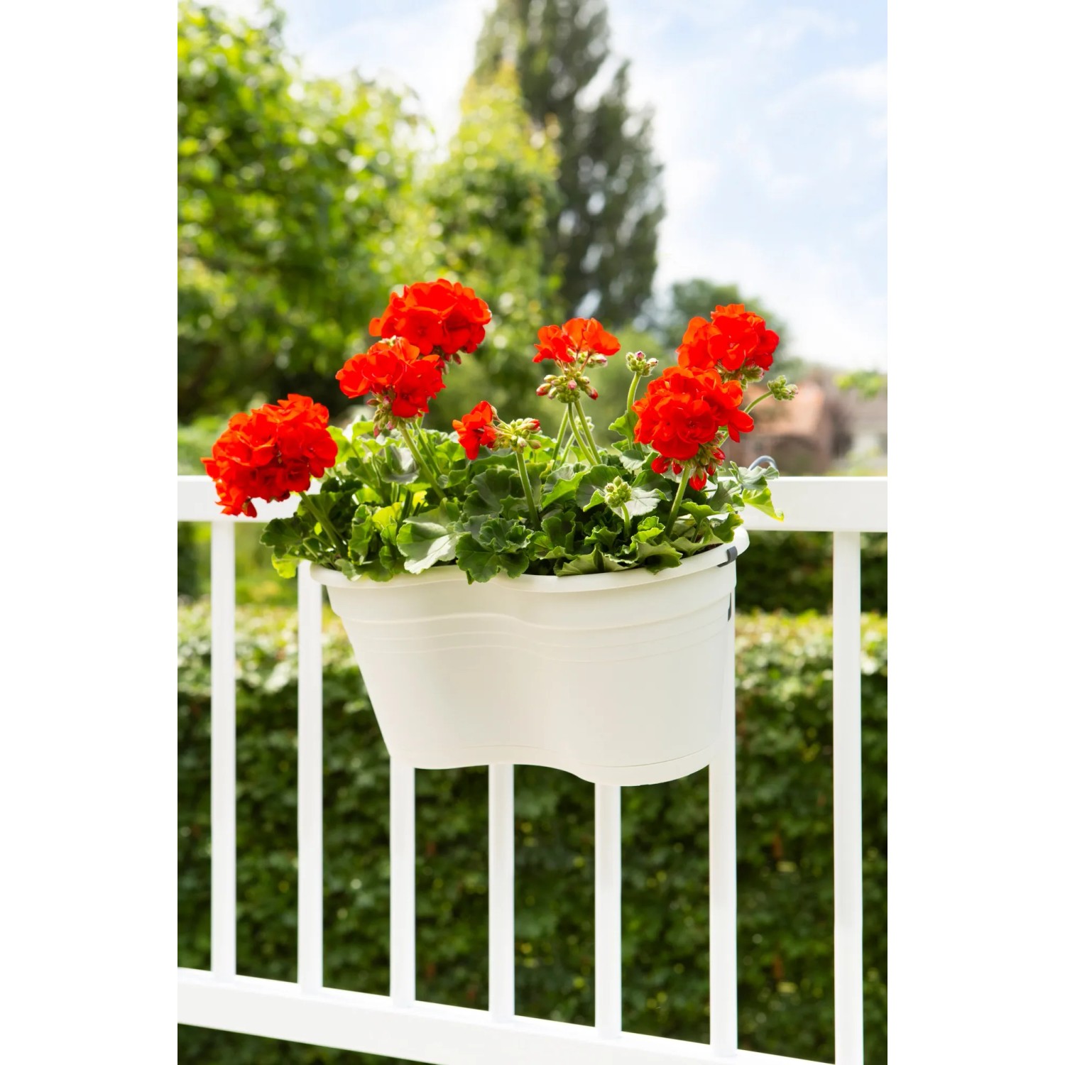 Florus Balkonkasten Set 37 x 27 cm weiß kaufen bei OBI