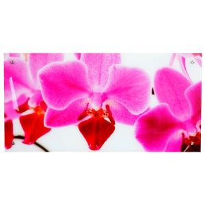 Glasbild Orchidee, 50x100cm, pinke Blüten, moderne Wanddekoration für Wohnräume.
