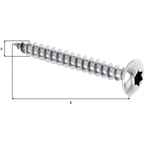 Holzschraube Maxi-Fix 6x50 mm, Edelstahl, mit Innensechsrund, 4er-Set.