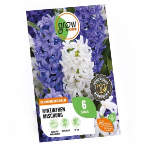 GROW by OBI Hyazinthen-Kollektion, Mischung aus blauen und weißen Blumenzwiebeln, 6 Stück.