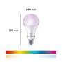 Philips Smart-LED-Leuchtmittel E27, Standardform, leuchtet violett. Maße 16,3x8,3 cm, zeigt RGB- und Weißlichtspektrum.