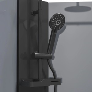 Swiss Aqua Technologies Komplettdusche: Schwarze Handbrause, Duschstange, Ablage.