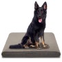 Großer Hund sitzt auf beigem Petzzz Rocky Hundebett 81x118 cm. Weiches Textil-Hundekissen mit ergonomischem Komfort.