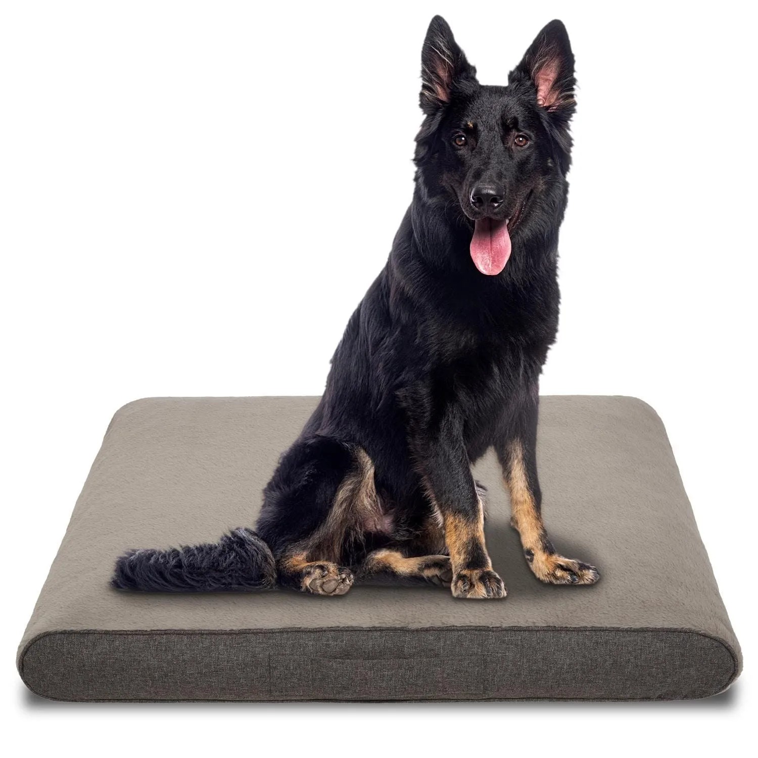 Großer Hund sitzt auf beigem Petzzz Rocky Hundebett 81x118 cm. Weiches Textil-Hundekissen mit ergonomischem Komfort.