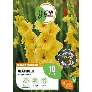 Packung gelbe Gladiole 'Bananarama' von GROW by OBI, Blumenzwiebeln für Beet und Kübel.