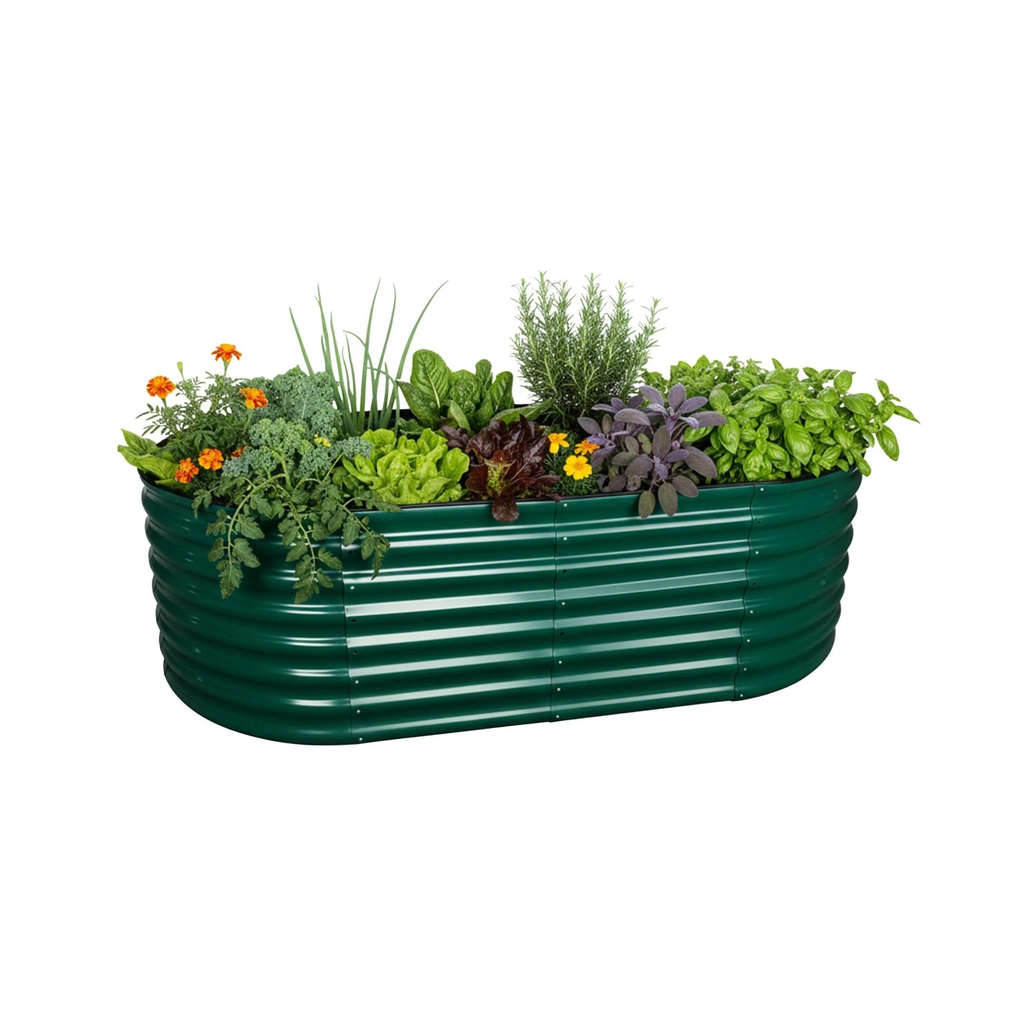 Relaxdays Hochbeet Halbrund Metall Grün Bodenfrei 60 cm x 200 cm x 100 cm 17 kg