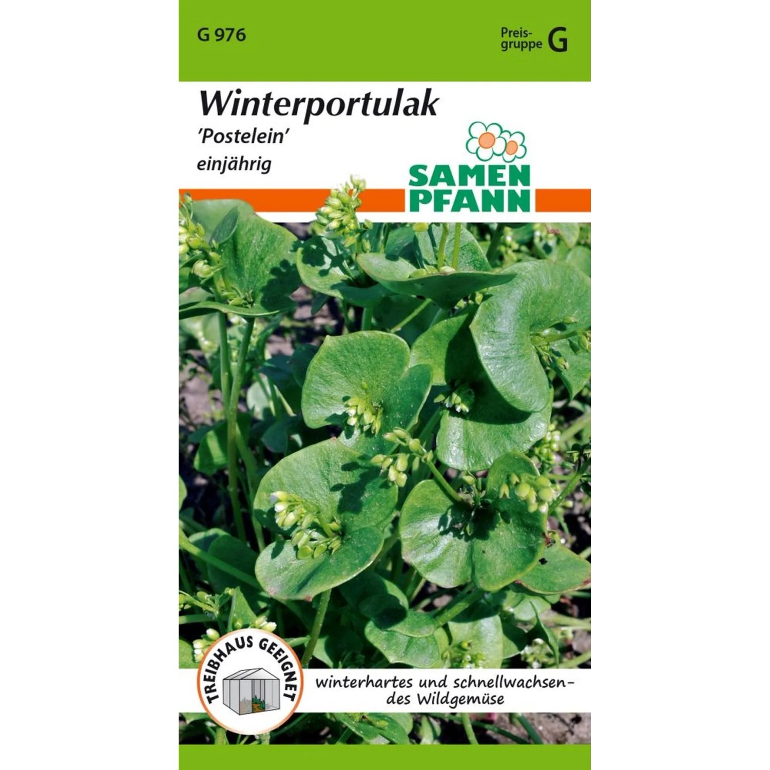 SAMEN PFANN Winterportulak günstig online kaufen