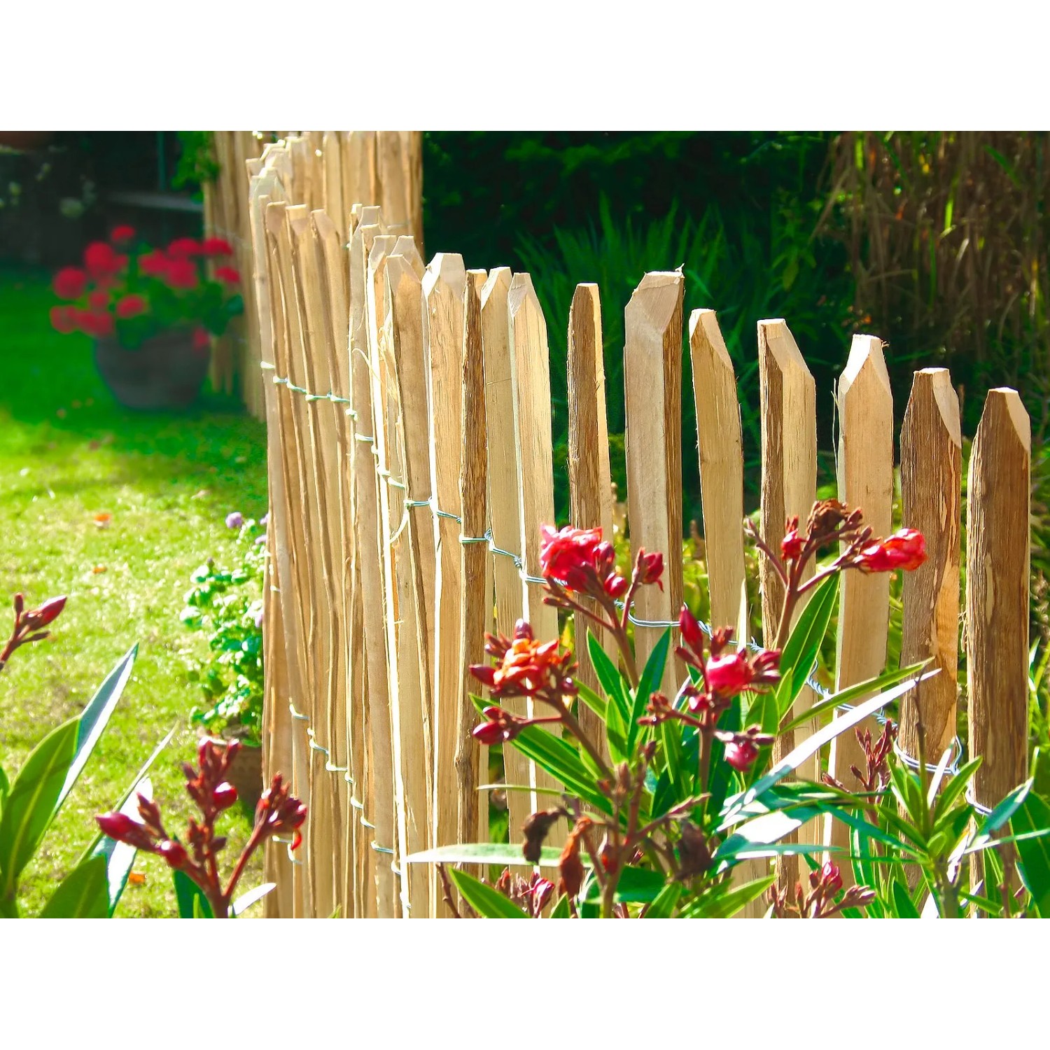 Floraworld Staketenzaun Haselnuss 500 cm x 120 cm kaufen bei OBI