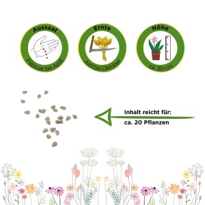 Samen der gelben Balkontomate Cereza Amarilla, ausreichend für ca. 20 Pflanzen.