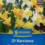 Kiepenkerl Steingarten-Narzissen Mischung, 20 Blumenzwiebeln mit gelben und weißen Blüten.