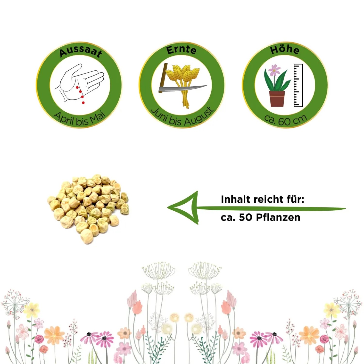 Samen der Markerbse Bördi: Aussaat, Erntezeit und Pflanzenhöhe im Überblick.