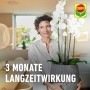 Frau hält blühende Orchidee im Topf, gedüngt mit Compo Düngestäbchen für Orchideen.