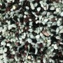 Nuber Zierkies, 4-6 mm, Natur Weiss/Bunt, 5 kg, für Aquarien.