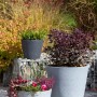 Scheurich Pflanzschale C-Cone, Ø 39 cm, Stony Black, mit Bepflanzung im Garten.