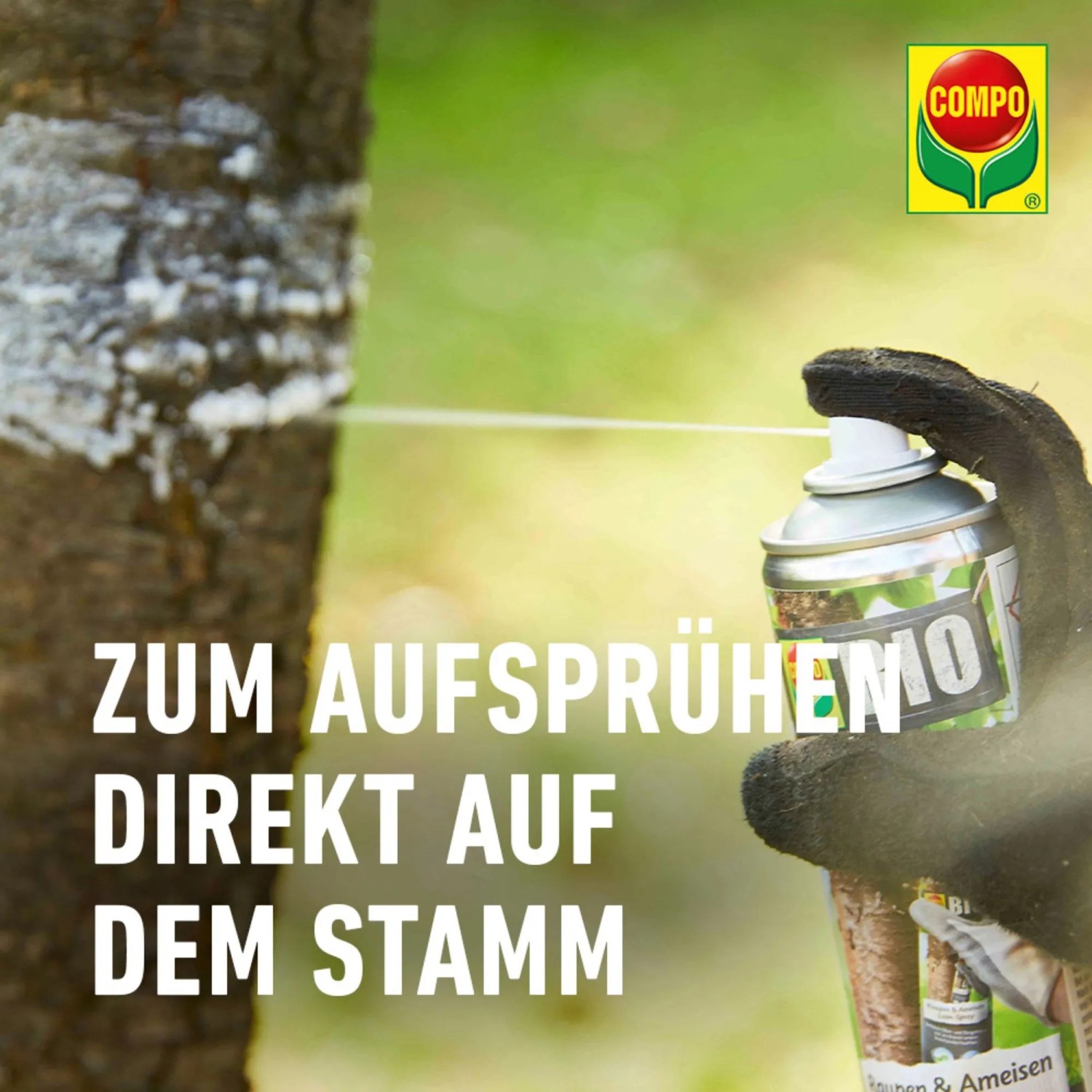 Anwendung des Compo Bio Leim Sprays gegen Raupen und Ameisen auf einem Baumstamm.
