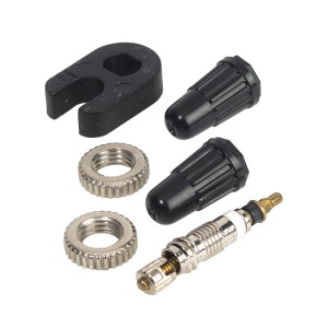 Prophete Sclaverand Ventileinsätze (2 Stk.) mit Kappen, Muttern und Werkzeug für Fahrradreifen.